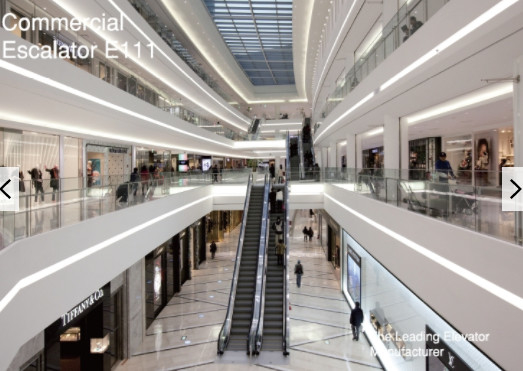 Shopping Mall Moving Walk Escalator 35 Degree Tempered Glass Fuji