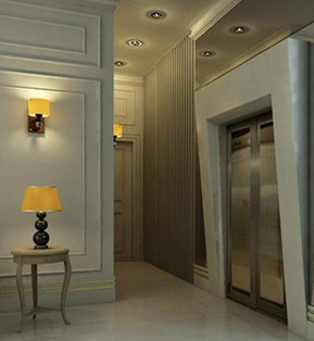 Fuji Small Elevators For Commercial Buildings 630KG SS304 Handrail