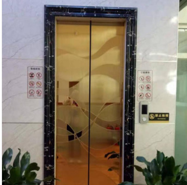ARD Automatic Rescue Device Elevator 3m/s 13 Passenger Lift
