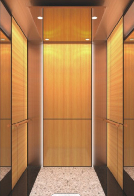 10 Persons Passenger Elevator CNAS Stainless Steel Lift Cabin