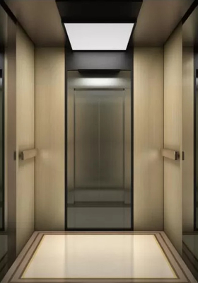 2.5m/s Residential Passenger Elevator Lift 1000KG 13 Persons