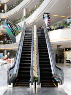 Shopping Mall Moving Walk Escalator 35 Degree Tempered Glass Fuji