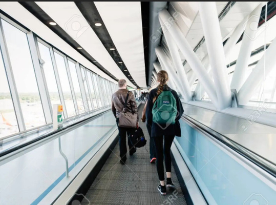12 Degree Airport Escalator Flat 5000KG Pallet Type Moving Walkway